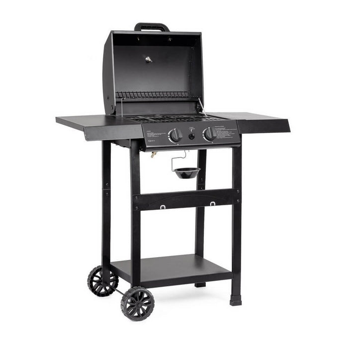 Barbecue a gas 2 bruciatori - LYMER