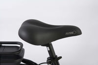 F.LLI SCHIANO E-MOON 26" bicicletta elettrica da cittÃ  per adulti, per uomo donna, con motore elettrico batteria sul 