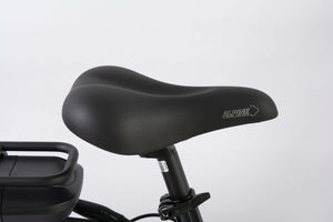 F.LLI SCHIANO E-MOON 26" bicicletta elettrica da cittÃ  per adulti, per uomo donna, con motore elettrico batteria sul 