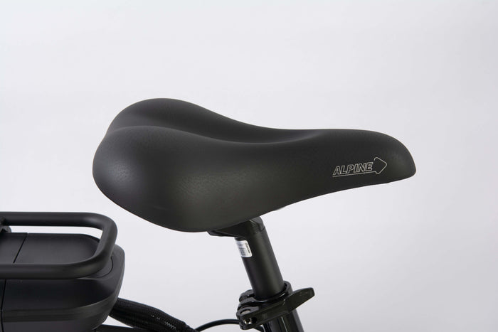 F.LLI SCHIANO E-MOON 26" bicicletta elettrica da cittÃ  per adulti, per uomo donna, con motore elettrico batteria sul 