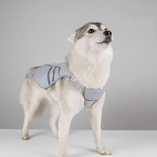 Allestimento per Cani - Vestito di Raffreddamento con Tessuto a Maglia per Cuccioli - Respirante e Raffreddante