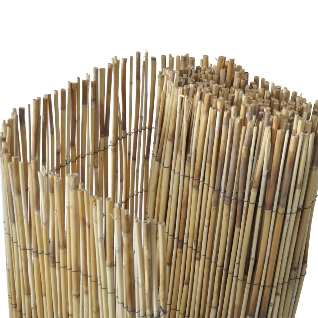 Recinzioni in Canna 2 pz 150x500 cm 3057530