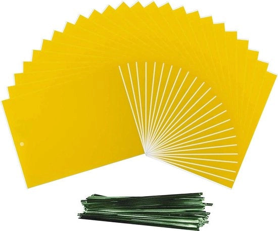 Trappola adesiva per insetti volanti con carta adesiva a doppia faccia - 24 pezzi - Trappola per mosche e zanzare - Controlla le mosche e le zanzare - Utilizzabile all'aperto e all'interno - Pianta insetticida