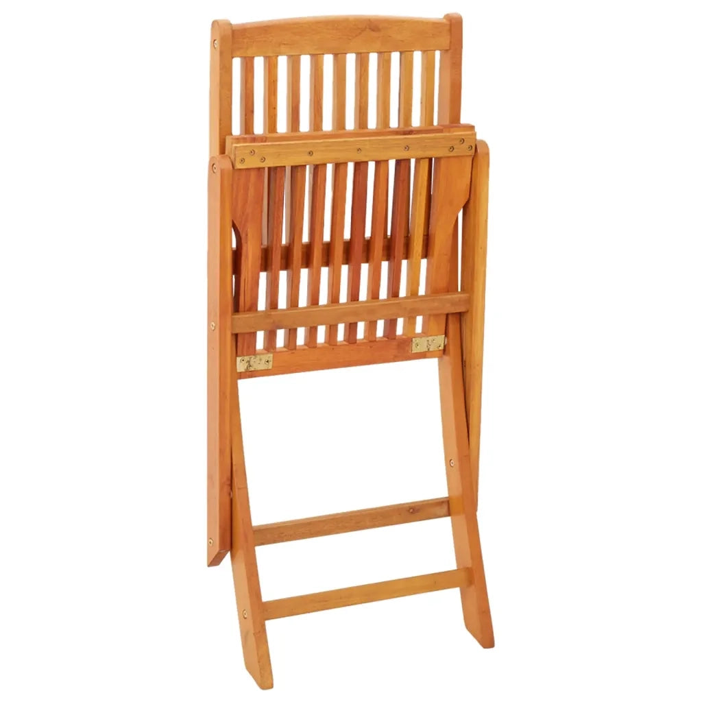 Sedie da Giardino Pieghevoli 2pz in Legno Massello di Eucalipto 312451
