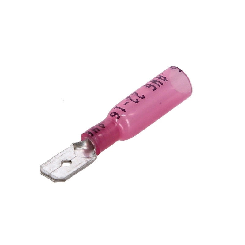 TERMINALE MASCHIO TERMO BLU 100PZ