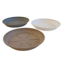 SOTTOVASO COLOR D.22XH3,5CM ASSORTITO