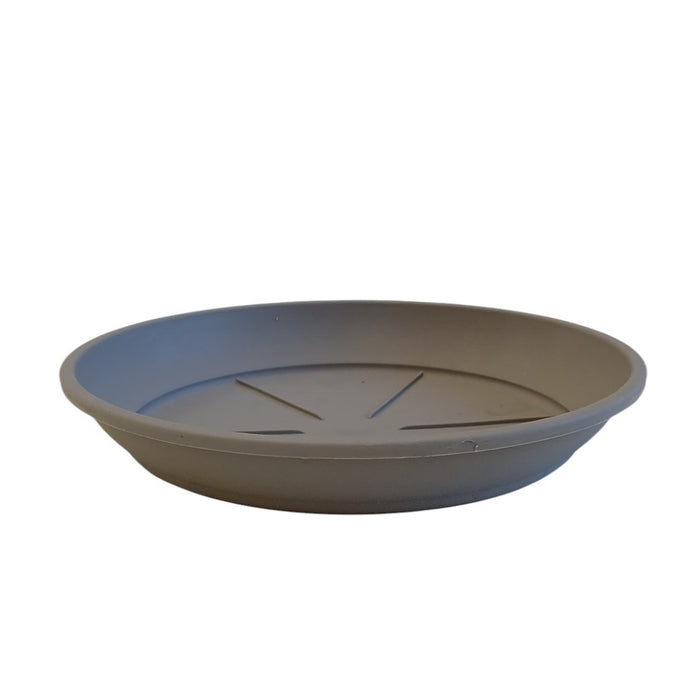 SOTTOVASO COLOR D.20XH3,2CM ASSORTITO