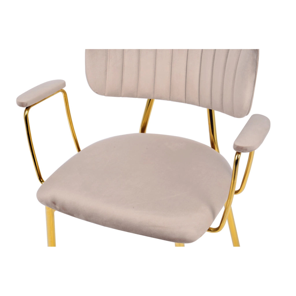 Set 2 Sedie con Braccioli Giselle in Velluto Taupe