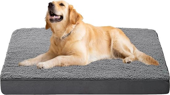 Cuscino per Cani in Memoria di Foam Medio Grigio - Copertura Riscaldabile e Rimovibile - Cuscino Ortopedico - Cuscino Idrorepellente - Cuscino Calmante per Piccoli Cani