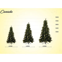 Albero Di Natale Canada Pe-Pvc 210 Cm 764 Rami