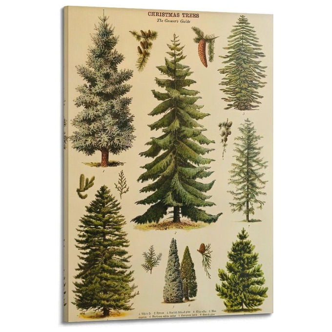 Yeppon Stampa Artistica su Tela Alta Qualita'