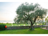 Nebulizzatore anti zanzare Stocker Geyser arancione E-25 MI 21V fino a 135m