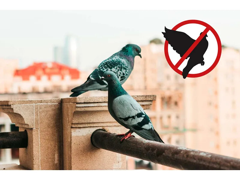 Dissuasore per piccioni Stocker Geyser nebulizzatore Mini 2 L perimetro 20m