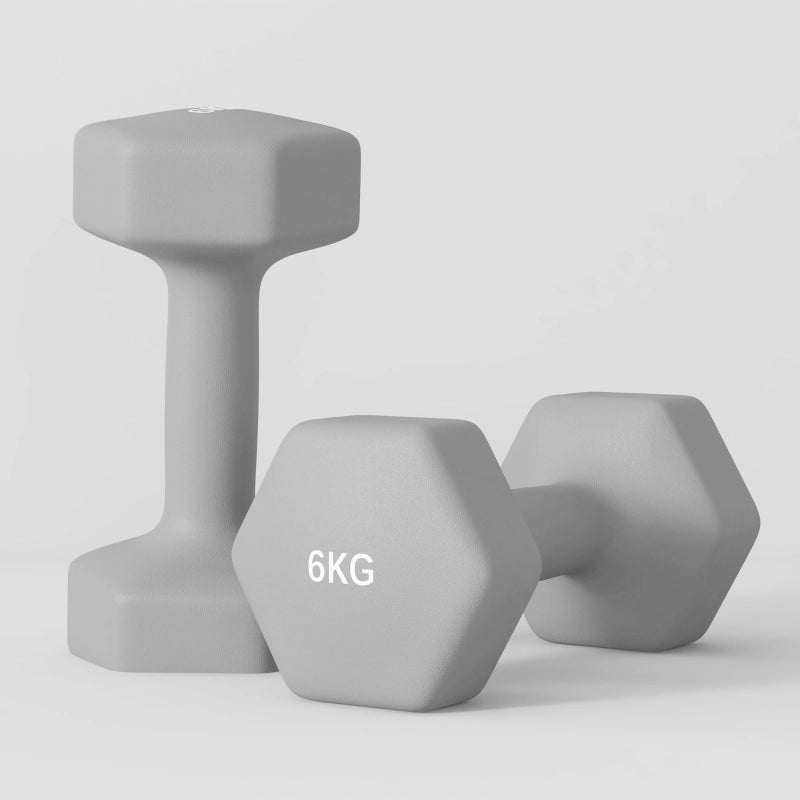 Set di 2 manubri da 6 kg, design esagonale, adatti a pavimenti, antiscivolo, colore grigio.