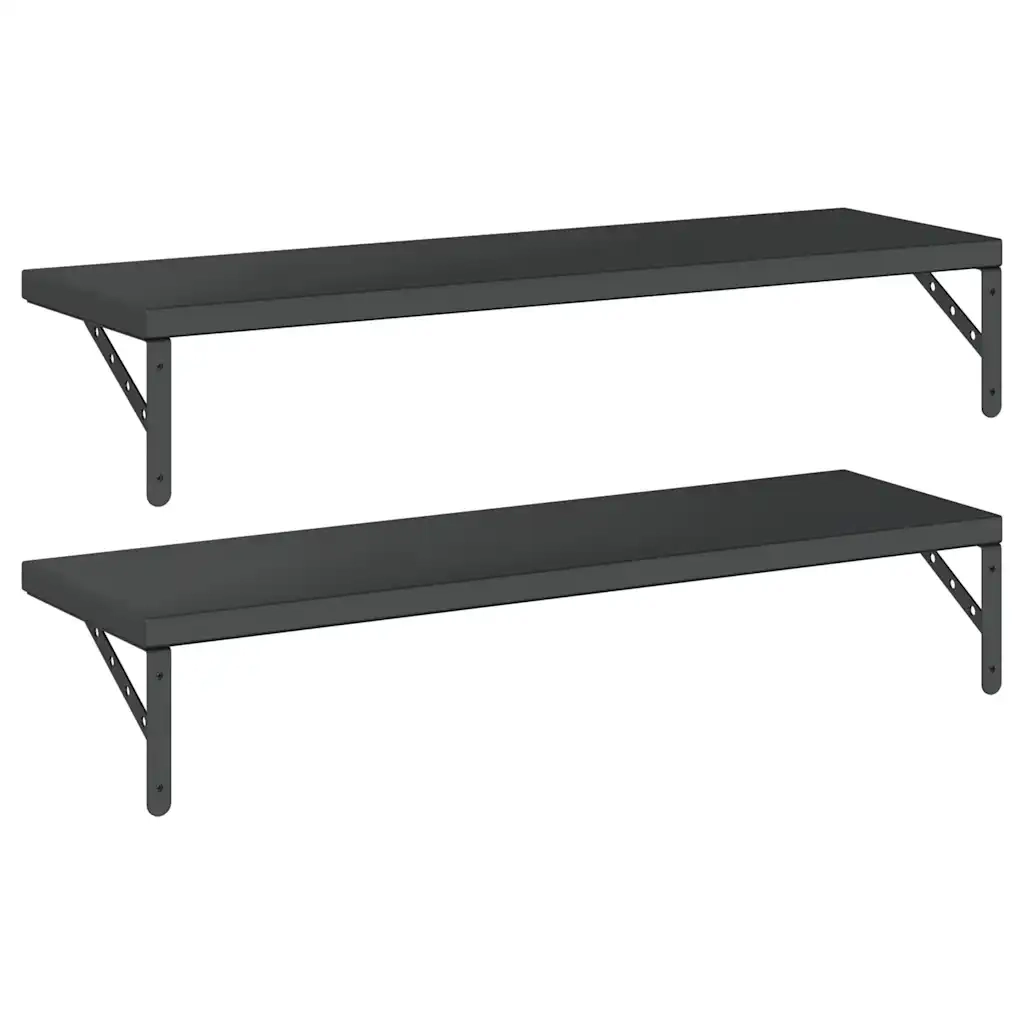 Mensole a Muro 2 pz 100x30 cm Nero in Acciaio Inossidabile 3214512
