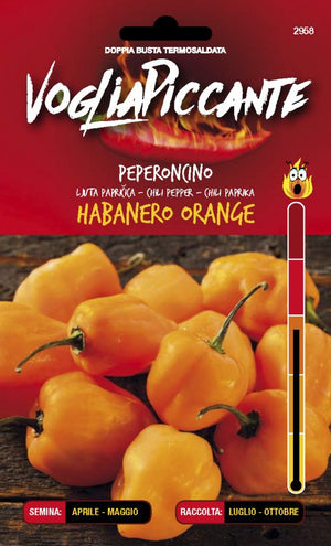 HOT PEPPERS HABANERO ORANGE