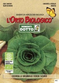 SEMENTI CICORIA GRUMOLO VERDE SCURO