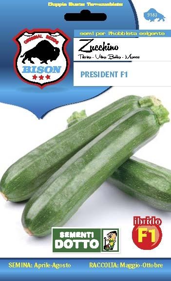 SEMENTI ZUCCHINO PRESIDENT