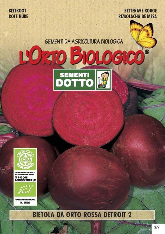 SEMENTI BARBABIETOLA DETROIT 2