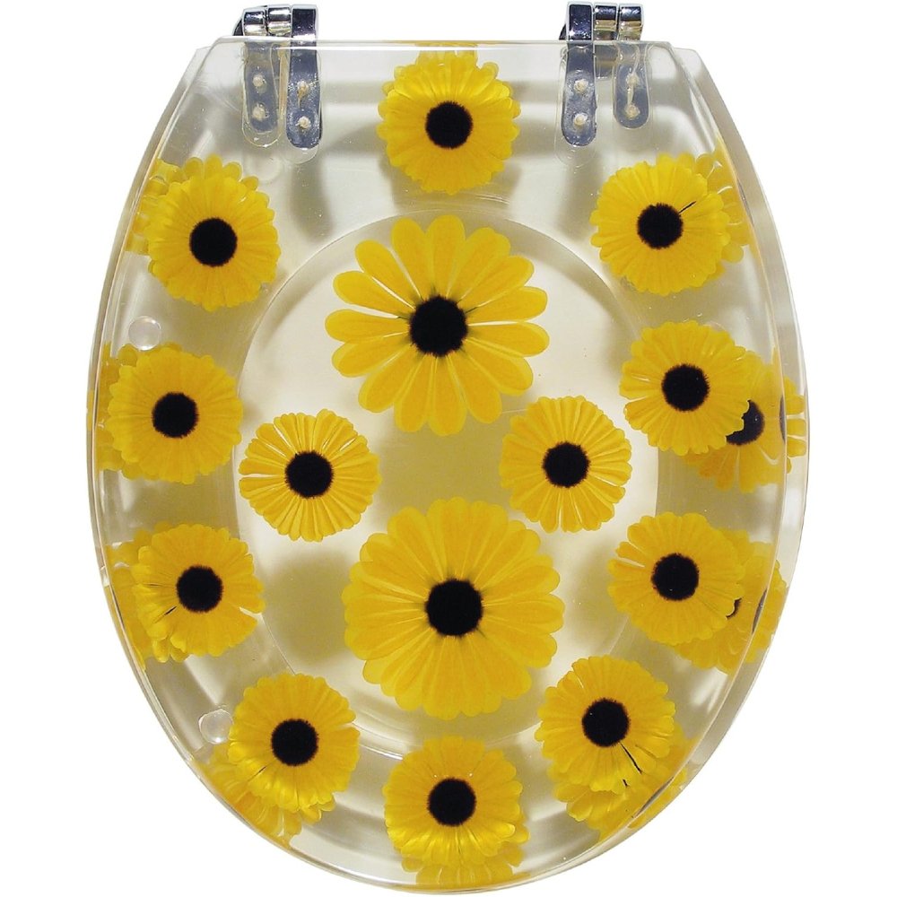 Sanitop-wingenroth sedile wc sole, 1 pezzi, trasparente, 40465