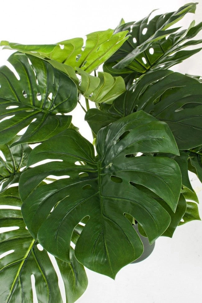 Set 2 Piante Artificiali di Filodendro 60x60x65 cm in Plastica con Vasi Verde