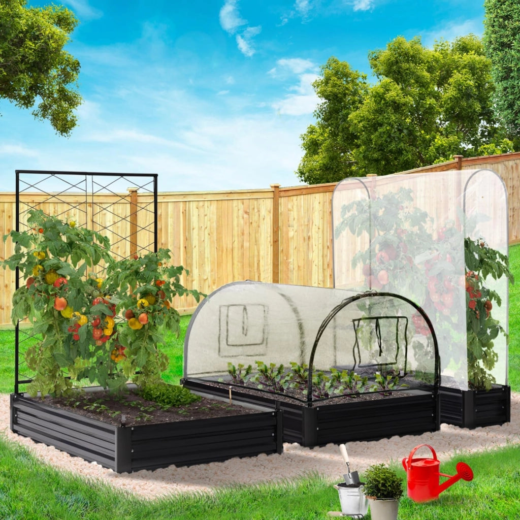 Kit Completo di 3 vasche modulari in Metallo per orto e Serra di pomodori + Traliccio + Copertura