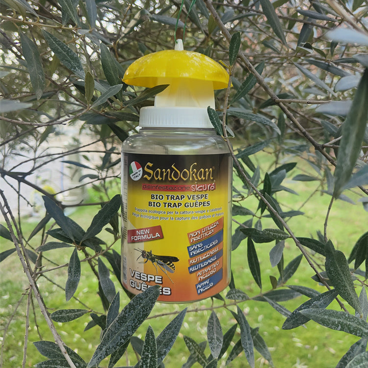 Trappola " Bio trap" per vespe 2 pezzi