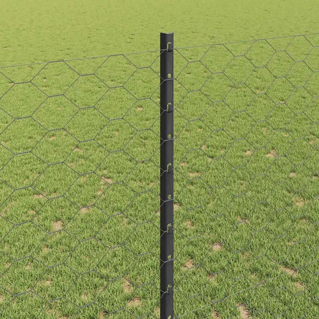 Recinzione da Giardino | Recinzione con Posto Grigio
