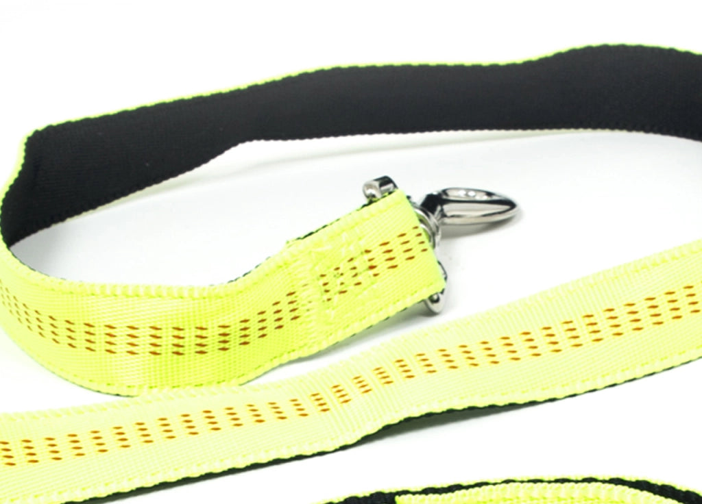 Guinzaglio Con Moschettone Per Animali Domestici Modello Color Doggy 120cm - 120cm - Verde Fluo