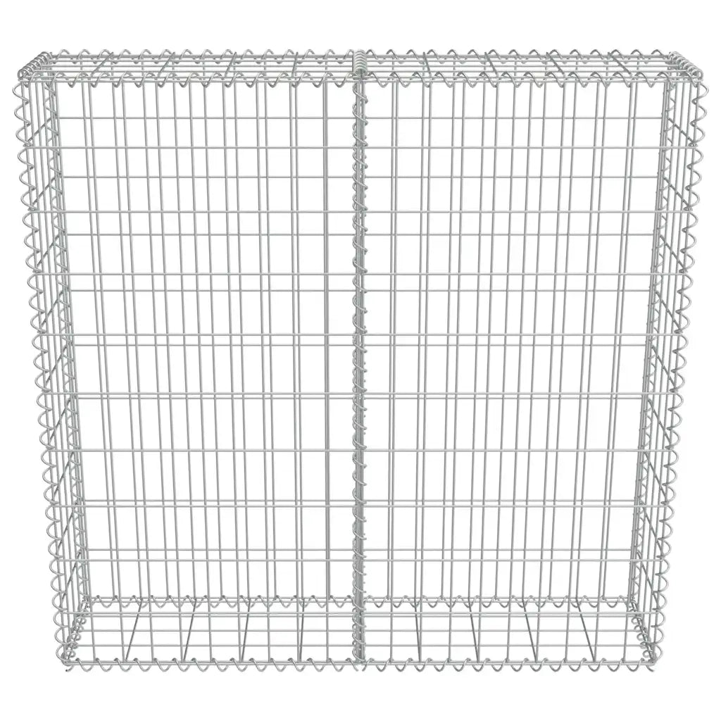Gabbione con Copertura in Acciaio Zincato 100x20x100 cm