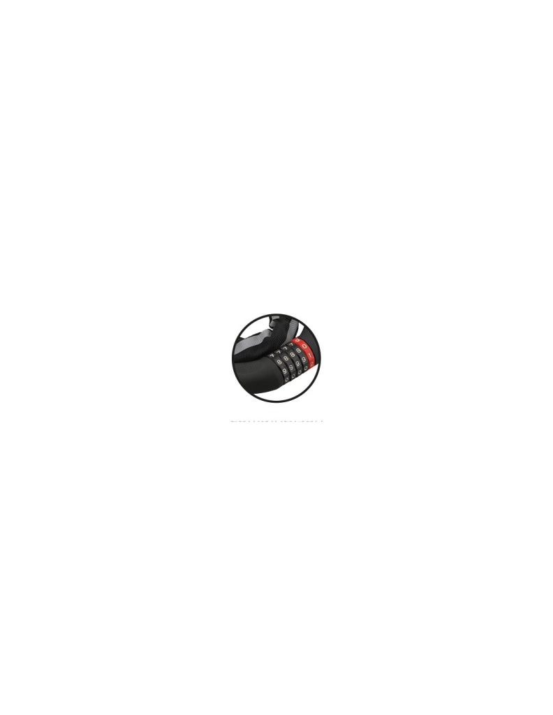 Antifurto Biker con catena a maglia quadra 6 mm, lunghezza 0,90 m, combinazione modificabile – THIRARD
