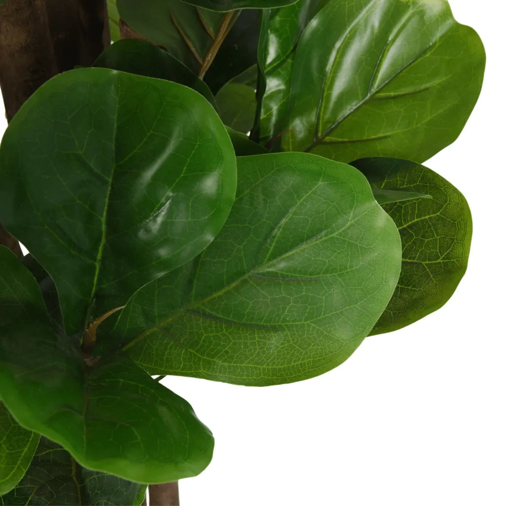 Albero Ficus Lyrata 96 Foglie 80 cm Verdecod mxl 131469