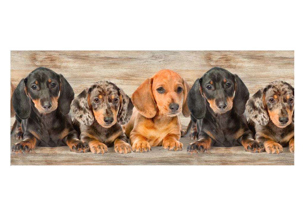 Tappeto Passatoia Cucina Antiscivolo Con Stampa Digitale Dis. Bassotti 2762 - 50x90 - Bassotti