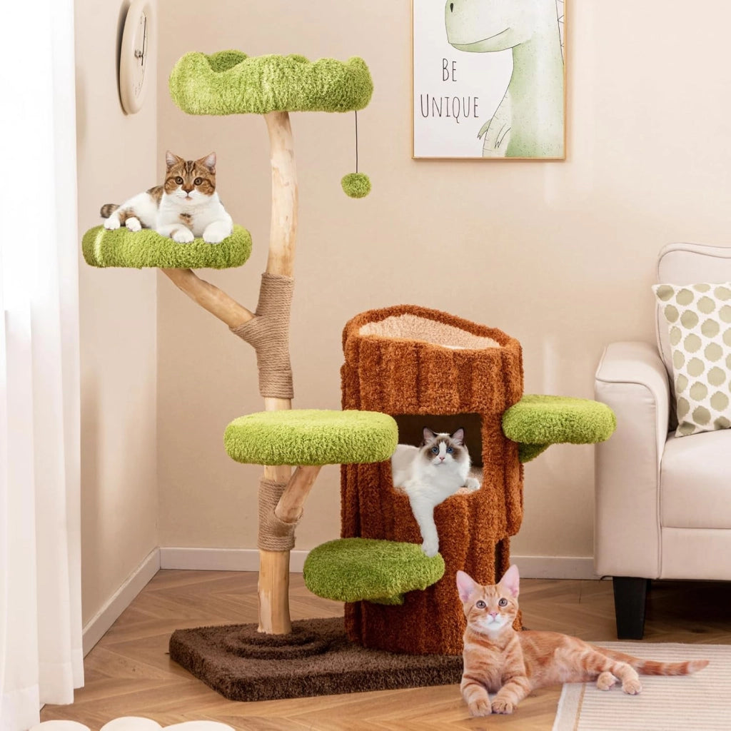 Tiragraffi a Forma di Albero per Gatti 141cm, Albero per Animali Domestici con 2 Piani, Pali per Graffiare, Pannello in Sisal, Trespolo Superiore e Piattaforma Rotonda, Torre Moderno Interno