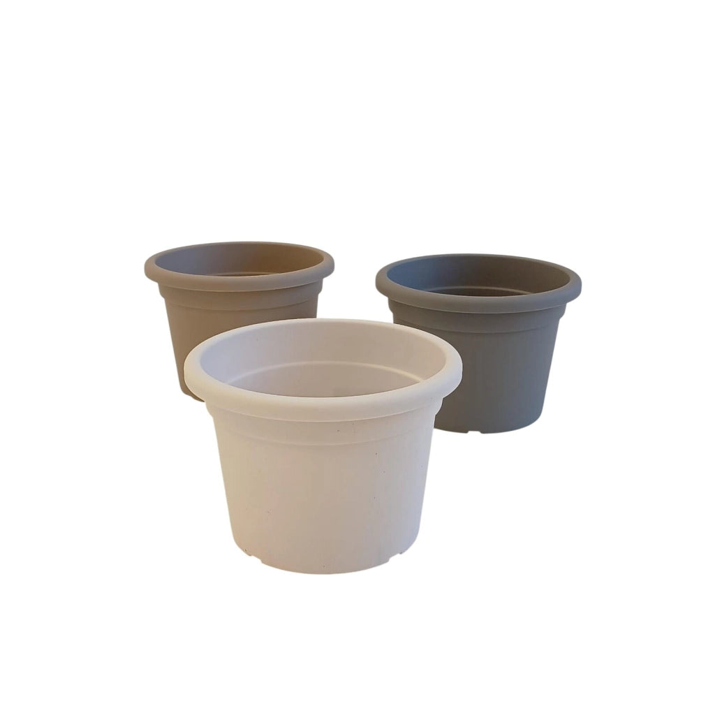 VASO CILINDRO COLOR D.21XH17CM ASSORTITO