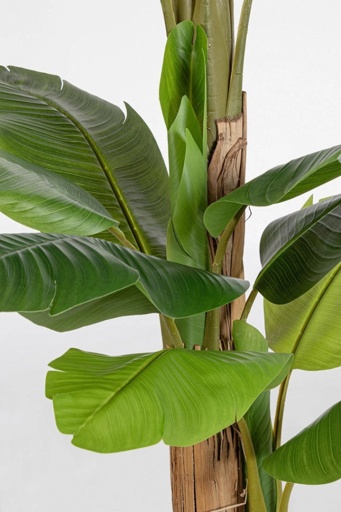 Pianta Artificiale di Banano 115x120x200 cm in Plastica con Vaso Verde