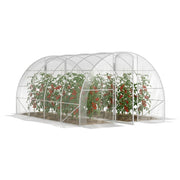 Serra da Giardino Tunnel ¨C zephmum ¨C Grigio 4x3x2 m 12 m2 con 2 Porte