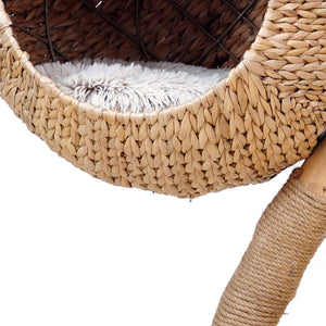 Fudajo Designer Albero tiragraffi design a rami 83 cm con cestino in peluche