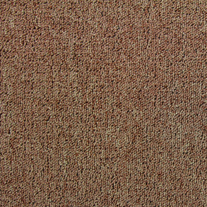 20 Quadrotte di Moquette 50x50cm Colore Sabbia 5mq Dure per Casa e Ufficio