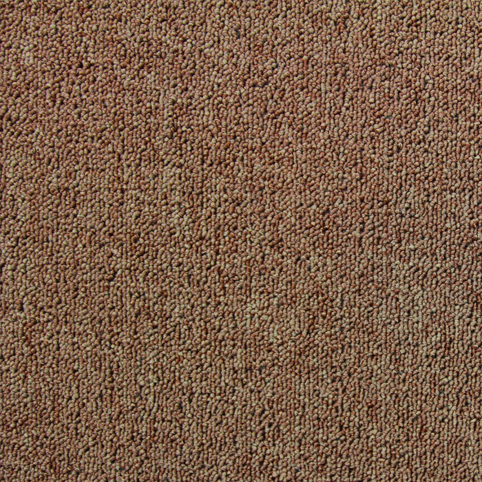 20 Quadrotte di Moquette 50x50cm Colore Sabbia 5mq Dure per Casa e Ufficio
