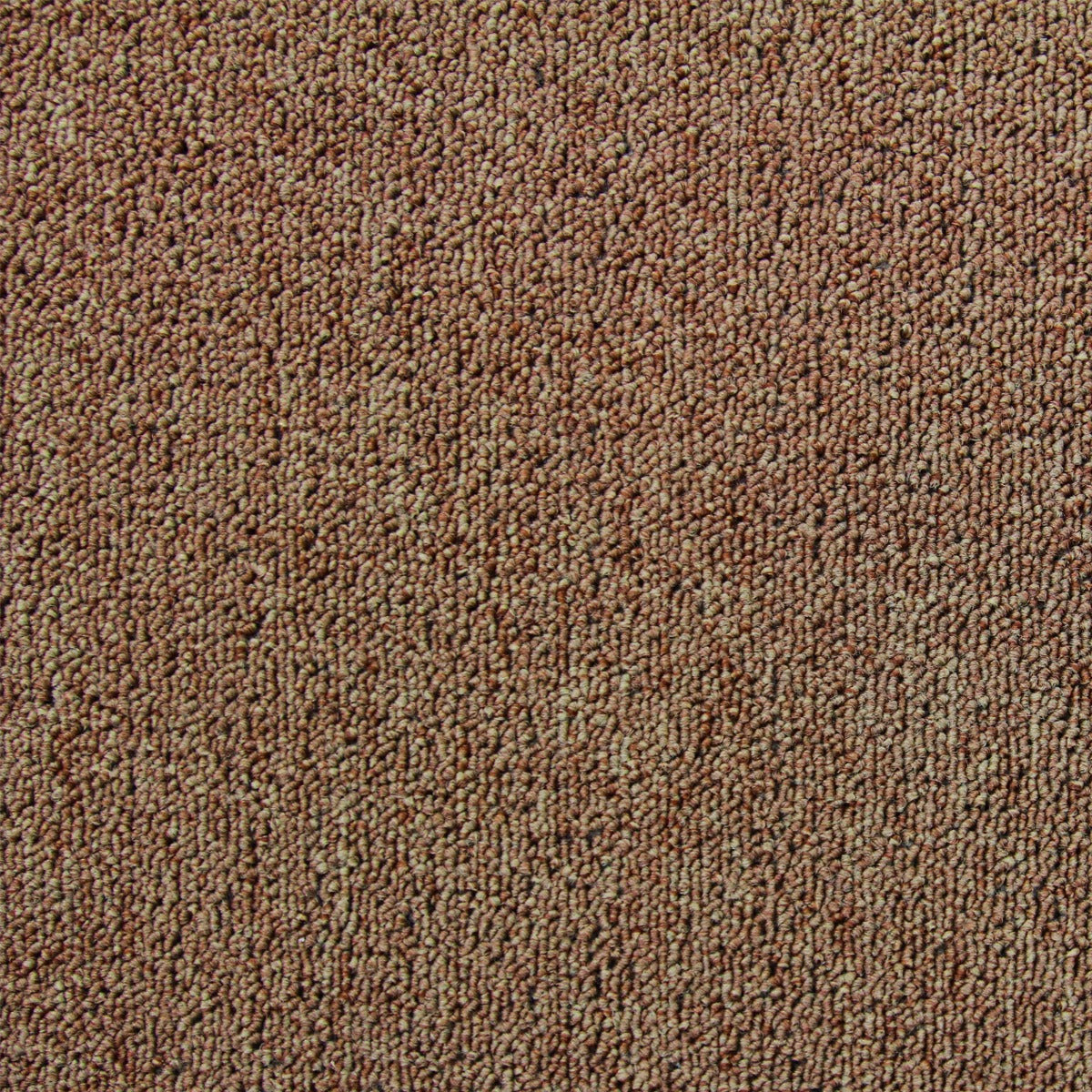 20 Quadrotte di Moquette 50x50cm Colore Sabbia 5mq Dure per Casa e Ufficio