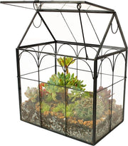 Terrario Succulente - Pianta da appartamento - Forma di casa - Fatto a mano - 1 pezzo - Trasparente - Vetro