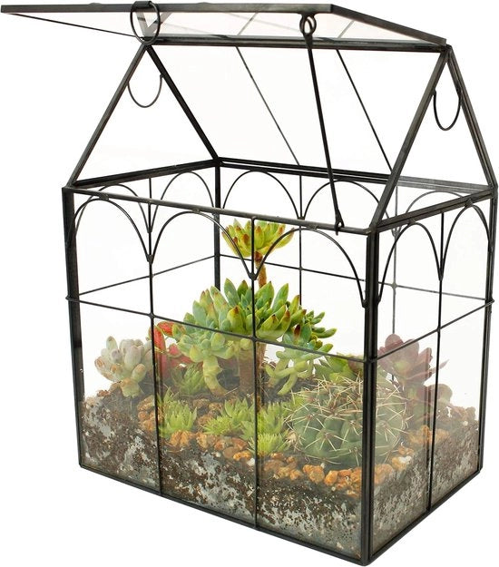 Terrario Succulente - Pianta da appartamento - Forma di casa - Fatto a mano - 1 pezzo - Trasparente - Vetro