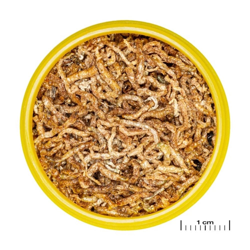 JBL ProNovo Fil 250ml - Chironomus liofilizzati per tutti i pesci tropicali
