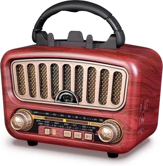 Radio Portatile AM/FM/SW con Bluetooth 5.0 e Grande Altoparlante 5W - Radio Oplaadbaar Vintage Retro con Batteria 1800mAh - Radio Miniatura con Funzione USB/TF/AUX