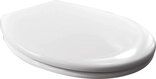 Braccio per WC con gancio e bottone Quick Release - Funzione Softclose - Bianco