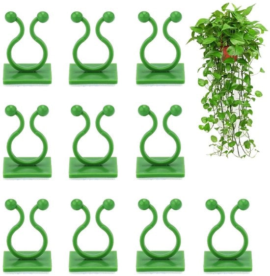 Plantclips 100 pezzi - Autoadesivo - Supporto alle pareti