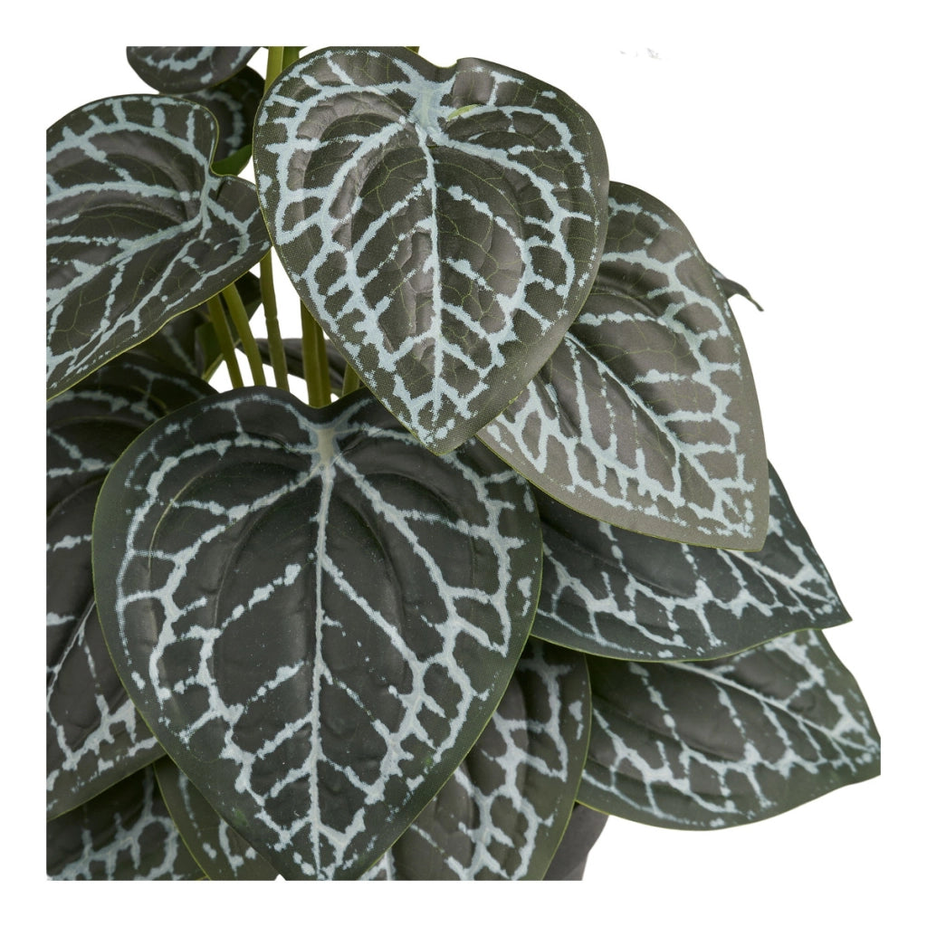 Pianta Artificiale Alexander, Verde, Plastica, 21x20x33 cm