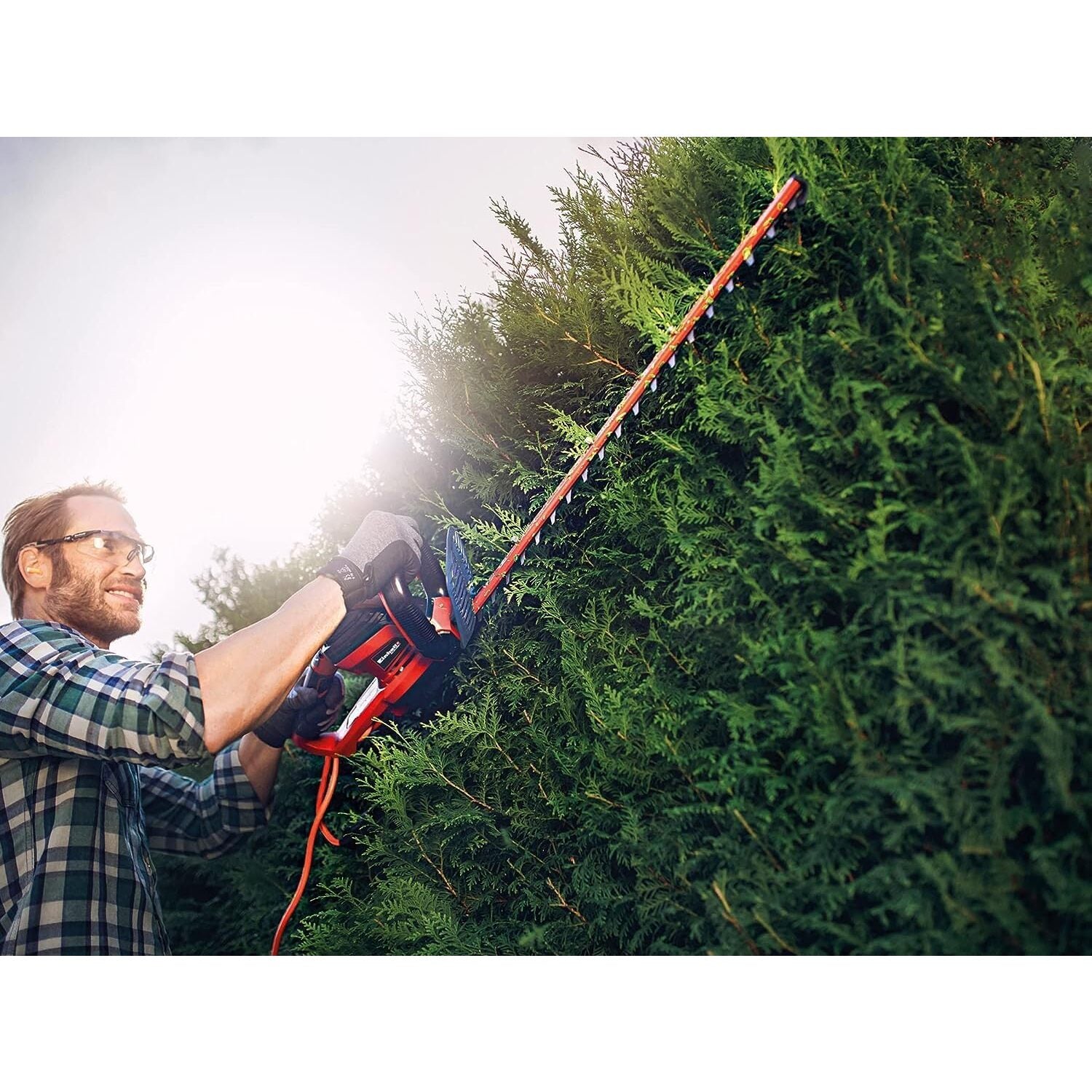 TAGLIASIEPI ELETTRICO GC-EH 6055/1 600W 55CM.