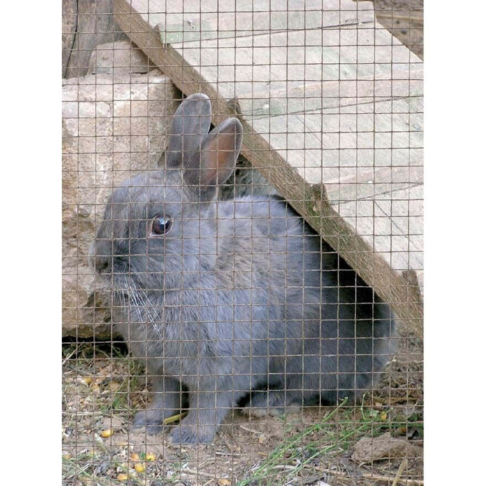 Rete Metallica Plastificata in Rotolo 1-5m Maglia quadra Voliere Gabbie Conigli